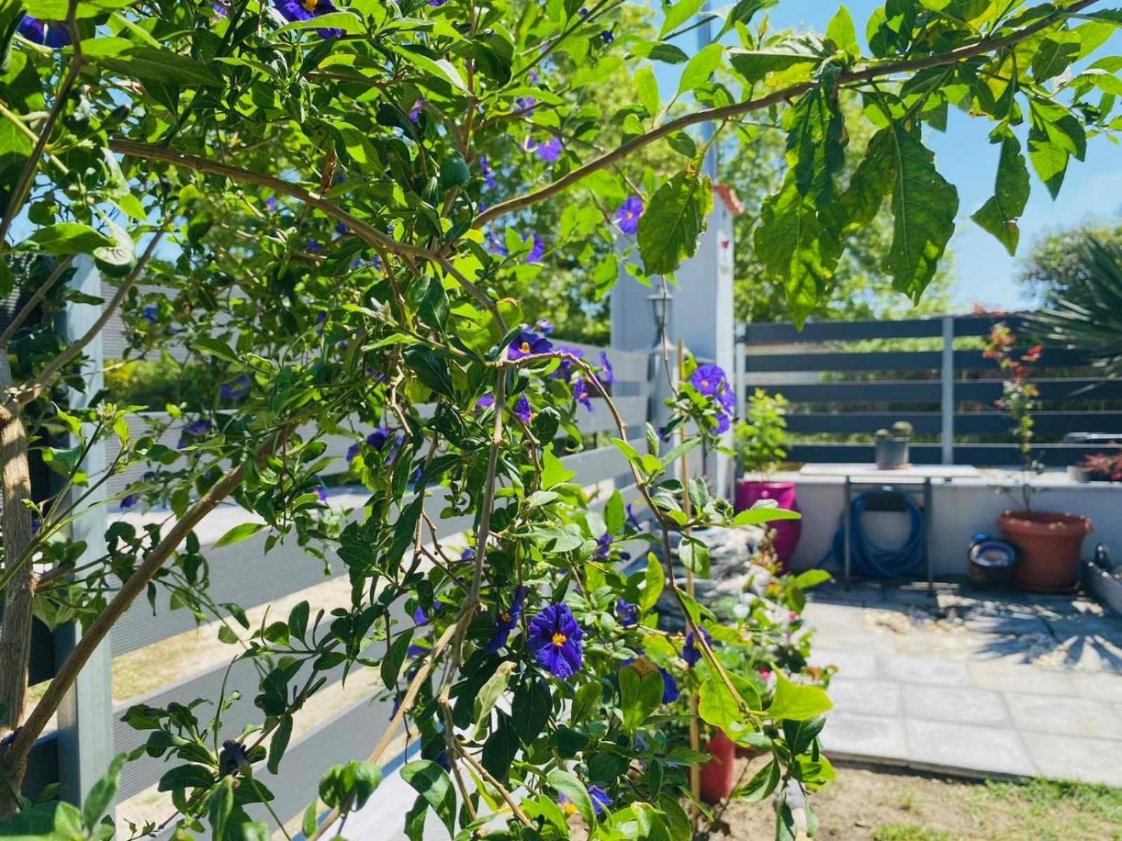 חניוטי Artemida Suites מראה חיצוני תמונה