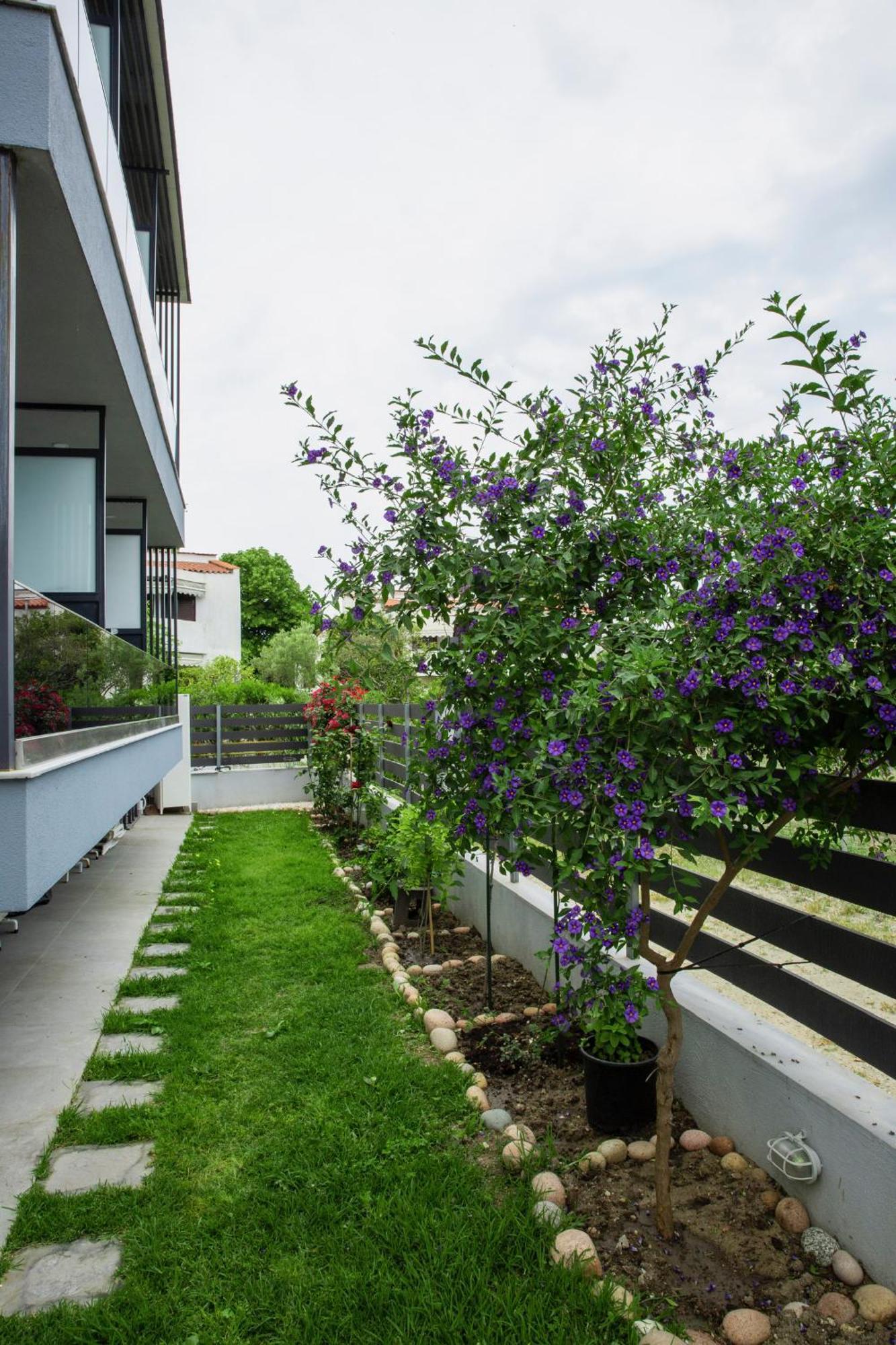חניוטי Artemida Suites מראה חיצוני תמונה